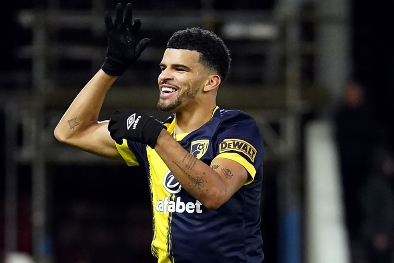 Solanke gây ấn tượng ở Bournemouth mùa 2023/24.